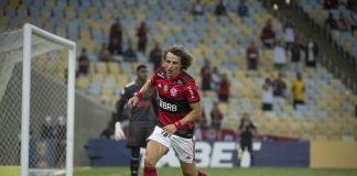 David Luiz-Flamengo-Cara da Rodada 31-Campeonato Brasileiro