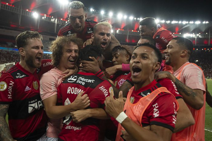 Flamengo-Seleção do Torcedor-33ª rodada