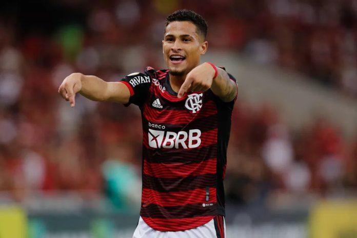 João Gomes pode deixar o Flamengo neste ano. Foto: Reprodução